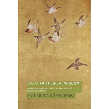 Great Faith, Great Wisdom: Practice and Awakening in the Pure Land Sutras of Mahayana Buddhism