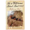 The Notorious Black Bart 1883: The Journey Back