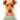 Irish Terrier Dog Breed: All You Need to Know about The Irish Farming Dog: Facts about The Rollicking Terriers of Ireland