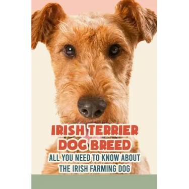 Irish Terrier Dog Breed: All You Need to Know about The Irish Farming Dog: Facts about The Rollicking Terriers of Ireland
