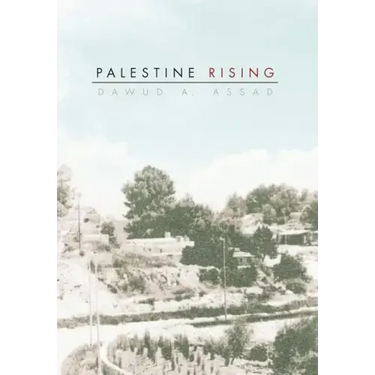 Palestine Rising