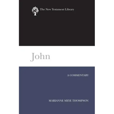 John: A Commentary