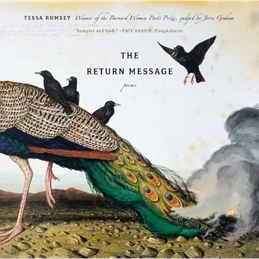 Return Message: Poems