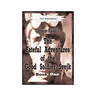 The Fateful Adventures of the Good Soldier Svejk During the World War, Book One