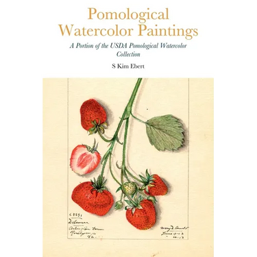 Pomological Watercolor Paintings