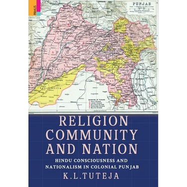 Religion, Community and Nation: Hindu Consciousness and Nationalism in Colonial Punjab: Hindu Consciousness and Nationalism in Colonial Punjab