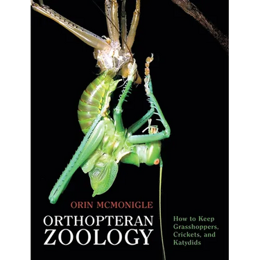 Orthopteran Zoology: How to Keep Grasshoppers, Crickets, and Katydids