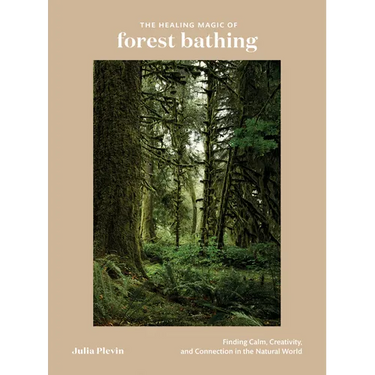 The Healing Magic of Forest Bathing: Finding Calm, Creativity, and Connection in the Natural World