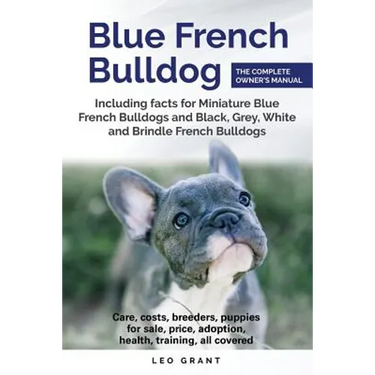 Blue French Bulldog: Care, costs, price, adoption, health, training and how to find breeders and puppies for sale.