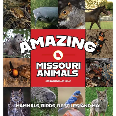 Amazing Missouri Animals