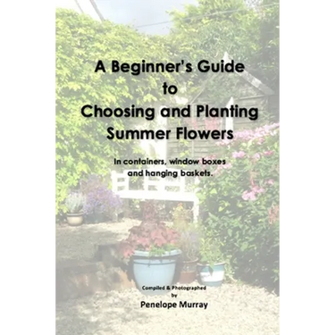 A Beginner's Guide to Choosing and Planting Summer Flowers