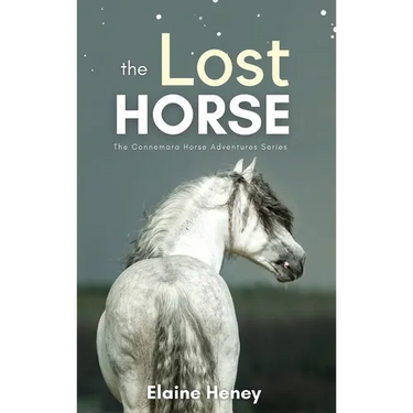 The Lost Horse - Book 6 in the Connemara Horse Adventure Series for Kids The Perfect Gift for Children