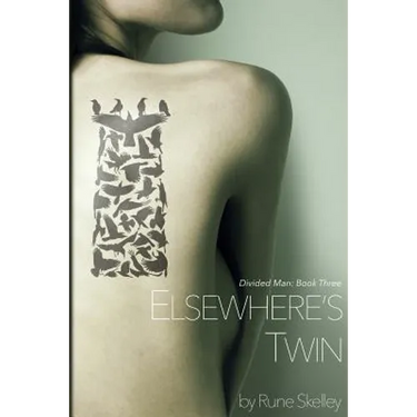 Elsewhere's Twin: a novel of sex, doppelgangers, and the Collective Id