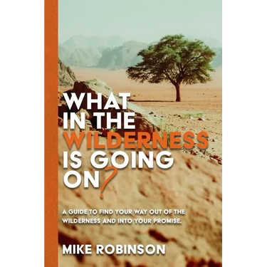 What In The Wilderness Is Going On?: A Guide To Find Your Way Out Of The Wilderness And Into Your Promise