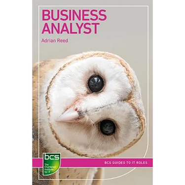 Business Analyst: Careers in business analysis