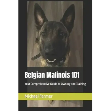 Belgian Malinois 101: Your Comprehensive Guide to Owning and Training