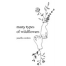 many types of wildflowers