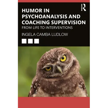 Humour in Psychoanalysis and Coaching Supervision: From Life to Interventions