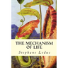 The Mechanism of Life