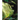 Nature Is Our Nurture: A Picture Book of Empowering Life Lessons for the Child in All of Us
