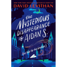The Mysterious Disappearance of Aidan S.: As Told to His Brother