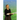 Women Pastors and God's Ordained Order