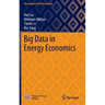 Big Data in Energy Economics