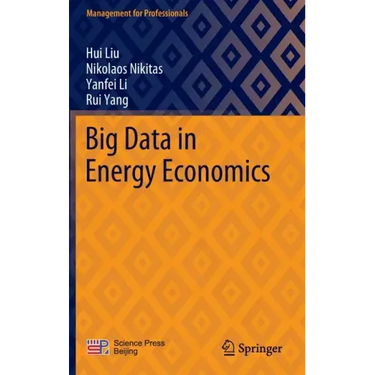Big Data in Energy Economics