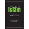 Political Islam: Essays from Middle East Report
