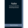 Azalea: The Story of a Little Girl in the Blue Ridge Mountains