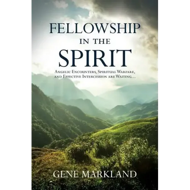 Fellowship in the Spirit: Angelic Encounters, Spiritual Warfare, and Effective Intercession Are Waiting...