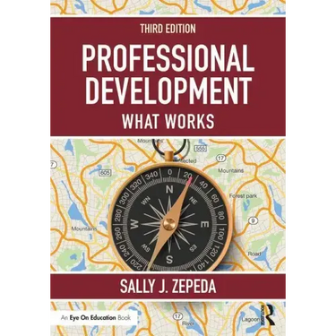 Professional Development: What Works