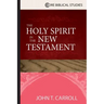 The Holy Spirit in the New Testament