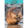 Muskrats