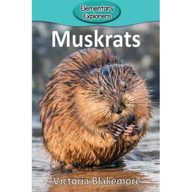 Muskrats