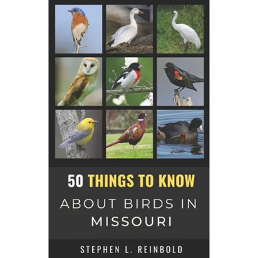 50 Things to Know About Birds in Missouri: Birds to Watch in the Show Me State