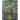The Disenchanted Forest