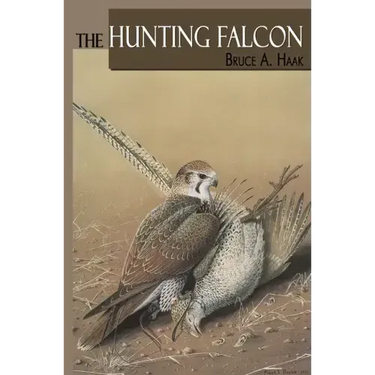 The Hunting Falcon
