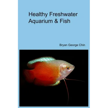 Healthy Freshwater Aquarium & Fish