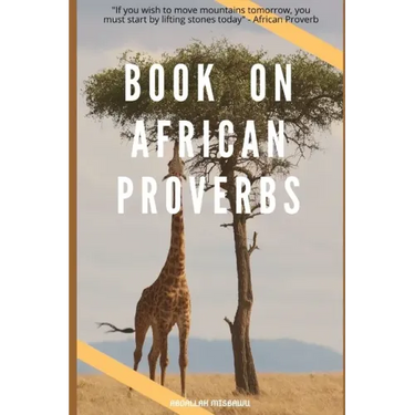 Book on African Proverbs: "If you wish to move mountains tomorrow, you must start by lifting stones today" - African Proverb