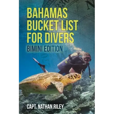 Bahamas Bucket List for Divers: Bimini Edition