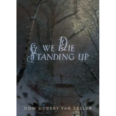 We Die Standing Up