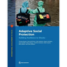 Adaptive Social Protection: Building Resilience to Shocks