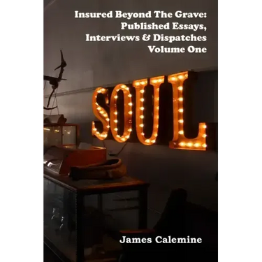 Insured Beyond the Grave: Published Essays, Interviews & Dispatches Volume One