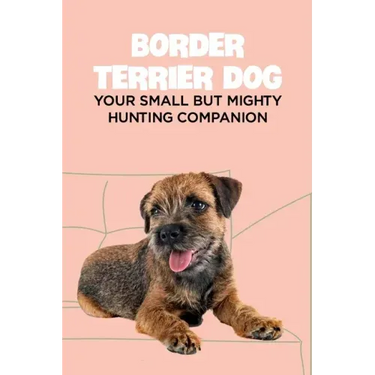 Border Terrier Dog: Your Small but Mighty Hunting Companion: Border Terrier Breed Info, Pictures, Facts and Care Guide