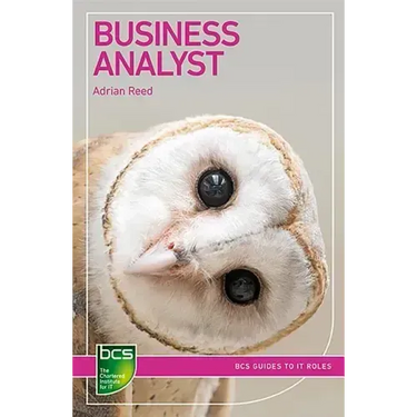 Business Analyst: Careers in Business Analysis