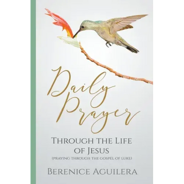 Daily Prayer through the Life of Jesus (Praying through the Gospel of Luke)