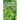 Silvan Leaves