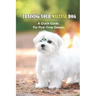 Training Your Maltese Dog: A Quick Guide For First-Time Owners: Maltese Breed Characteristic