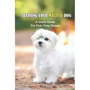 Training Your Maltese Dog: A Quick Guide For First-Time Owners: Maltese Breed Characteristic